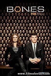 Bones - S09E11 - The Spark in the Park