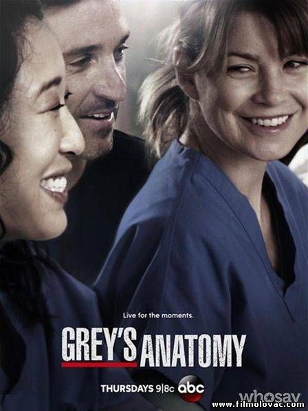Grey's Anatomy - S10E20 - Go It Alone