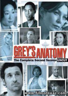 Grey's Anatomy -S02E06- Into You Like a Train