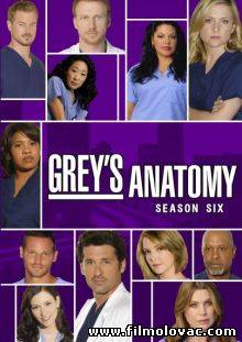 Grey's Anatomy -S06E06- I Saw What I Saw