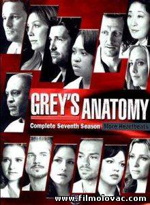 Grey's Anatomy -S07E06- These Arms of Mine