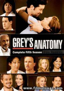 Grey's Anatomy -S05E12- Sympathy for the Devil